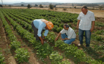 Yağmurlu hava kenti terk edecek