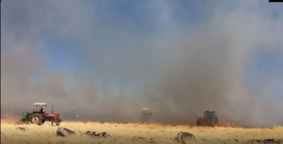 Yangın Ormana  Sıçramadan  Kontrol Altına Alındı 