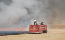 Yangını bıraktılar kavgaya tutuştular