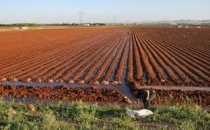 Yaptırmayanlar destekleme alamayacak