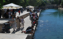 Yem satışları da azaldı