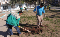 "Yemyeşil Haliliye" İçin Ağaçlandırma Çalışması