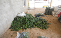 Yerli mal pazarında yerini aldı