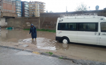 Yeşildirek'te çok sayıda evi su bastı