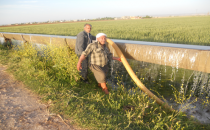 Yeterli yağış bilinçsiz sulamanın önüne geçemedi