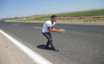 Yolda mahsur kalan kediye sürücüden yardım